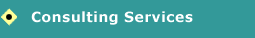 Consulting Services