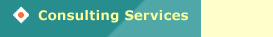 Consulting Services